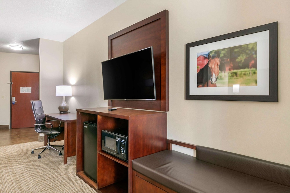 1 King Bed, Suite, Nonsmoking - Photo 4