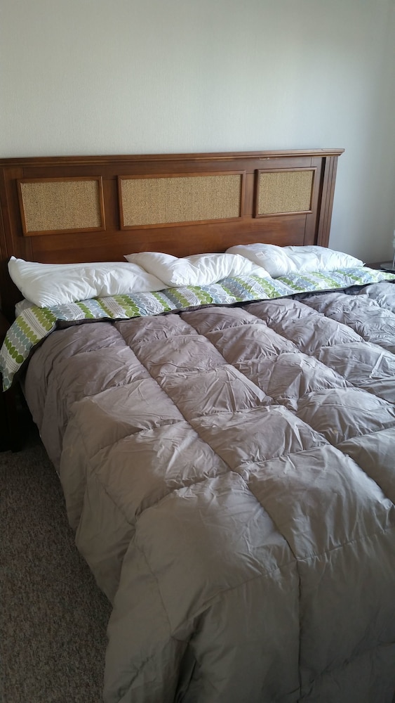 Standard Apartment, 1 King Bed, Private Bathroom, River View (908) photo 1