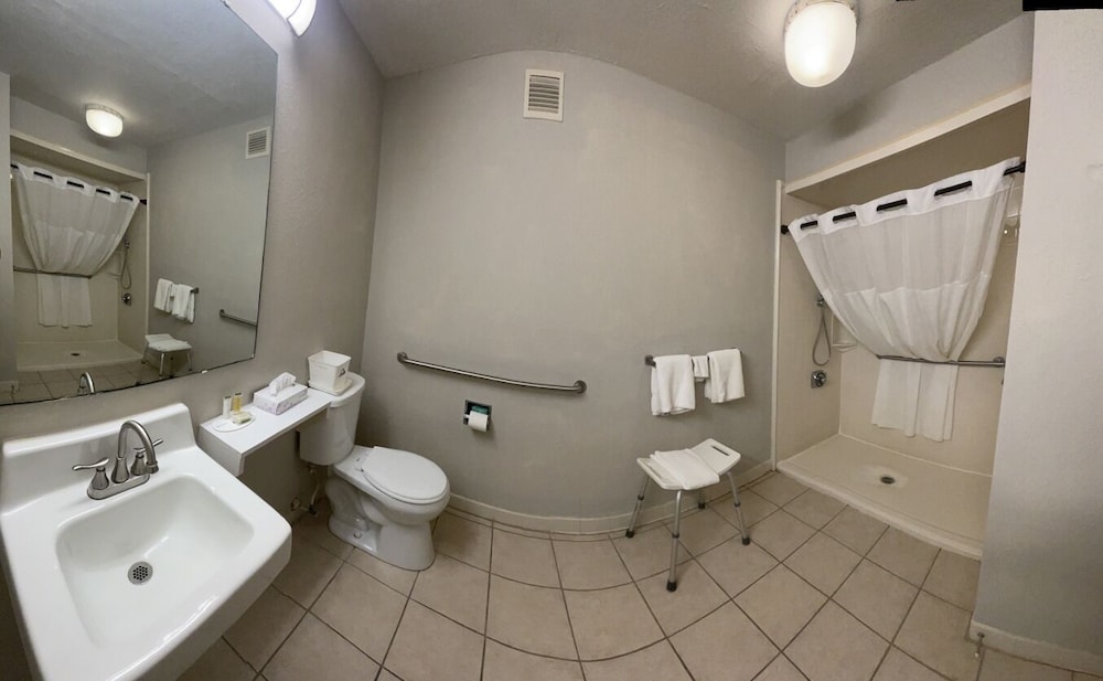 Standard Room, 1 King Bed, Accessible - Photo 4