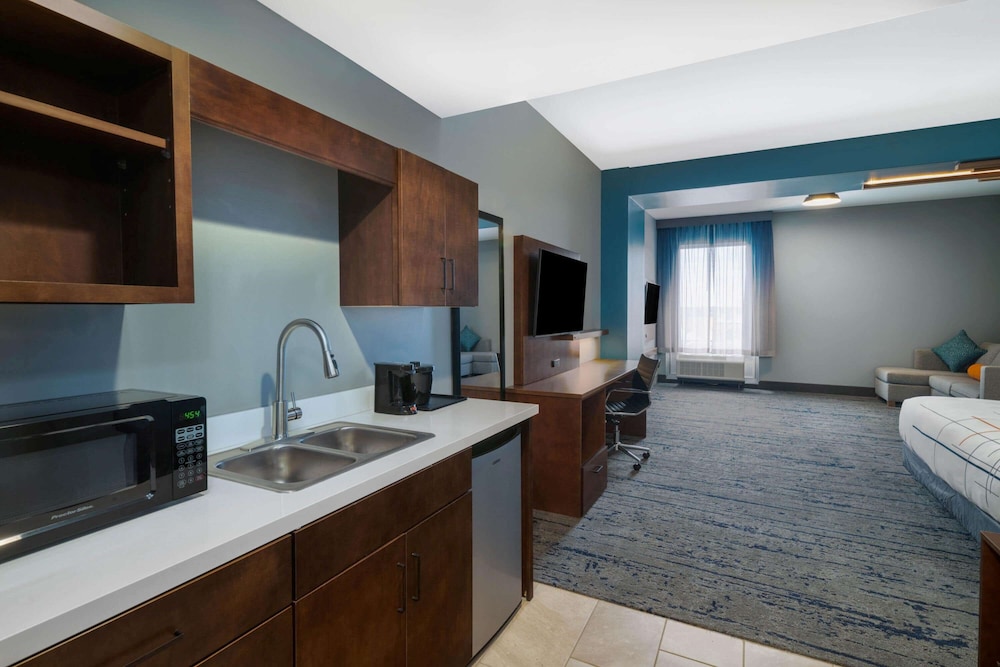Standard Studio, 1 King Bed, Non Smoking (Efficiency with Wet Bar) - Photo 1