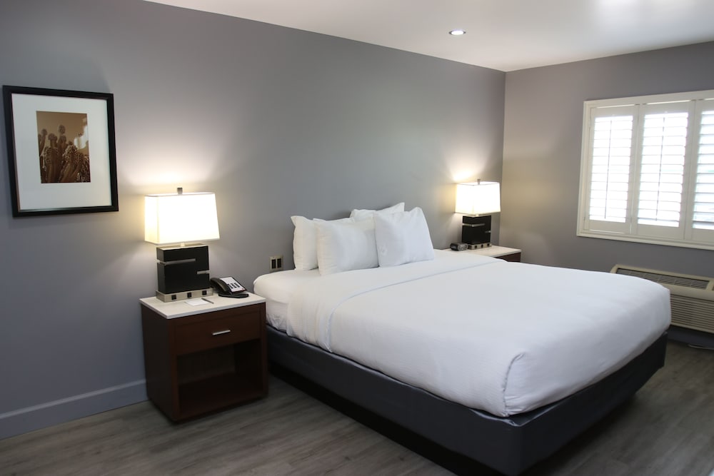 Basic Room, 1 King Bed, Non Smoking - Photo 2