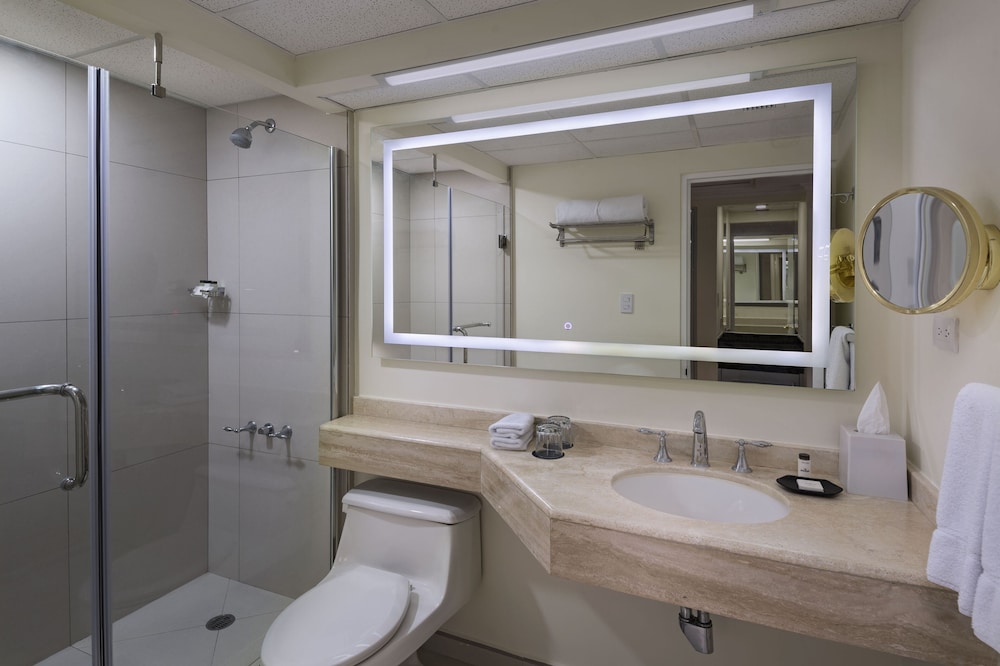 Deluxe Room, 1 King Bed, Balcony - Photo 8