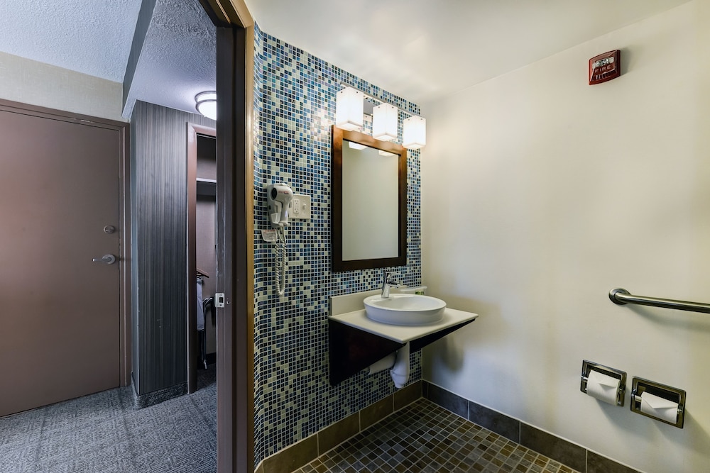 Standard Room, 1 King Bed, Accessible (Communications Accessible) - Photo 6