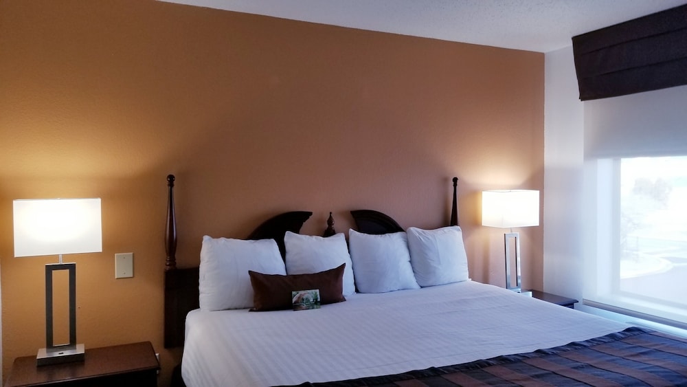 Room, 1 King Bed (One-Bedroom) photo 1