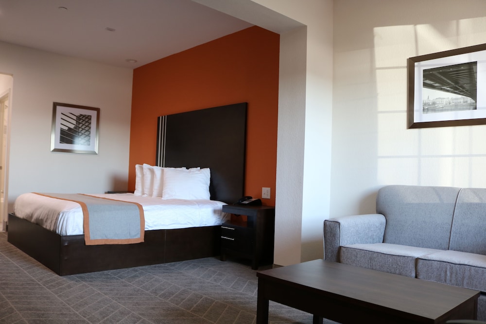 Single Room, 1 King Bed
