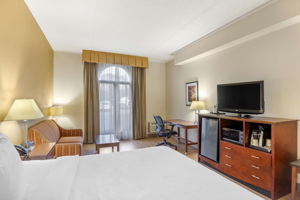 Standard Room, 1 King Bed, Non Smoking, Jetted Tub - Photo 2