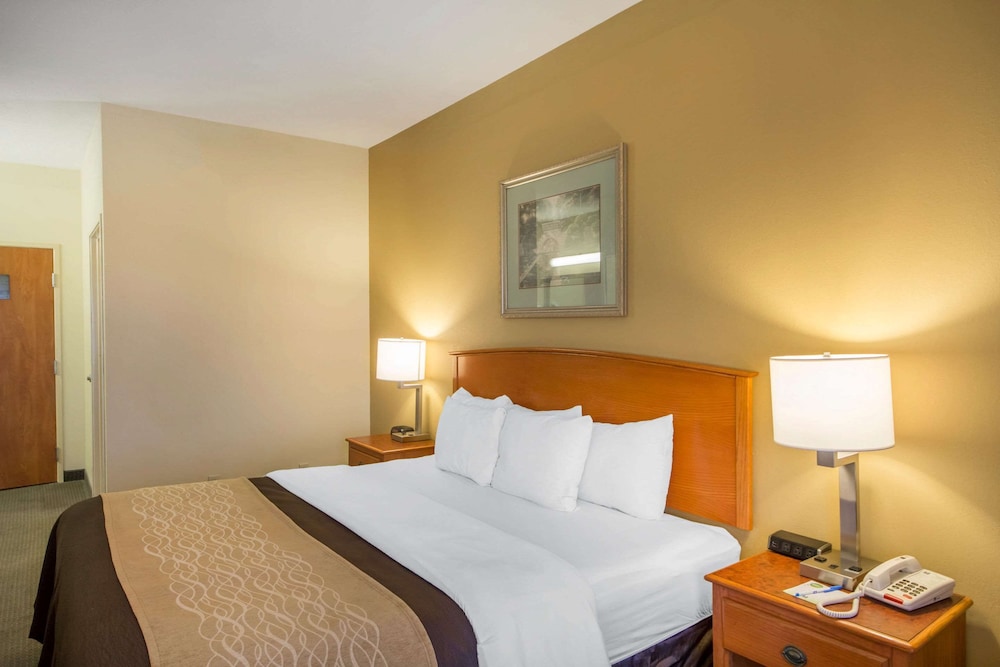 Standard Room, 1 King Bed, Non Smoking - Photo 3