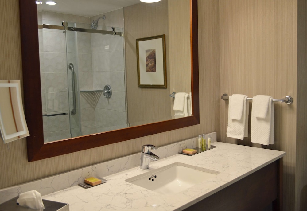Premium Room, 1 King Bed, Soaker Tub, US Falls View - Photo 6