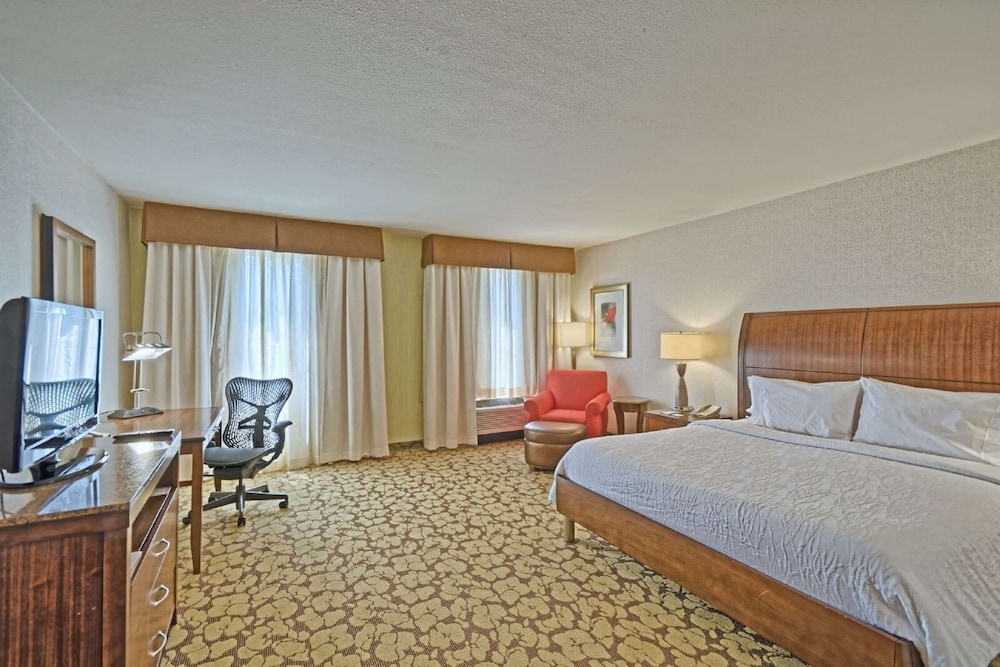 Room, 1 King Bed, Accessible - Photo 1