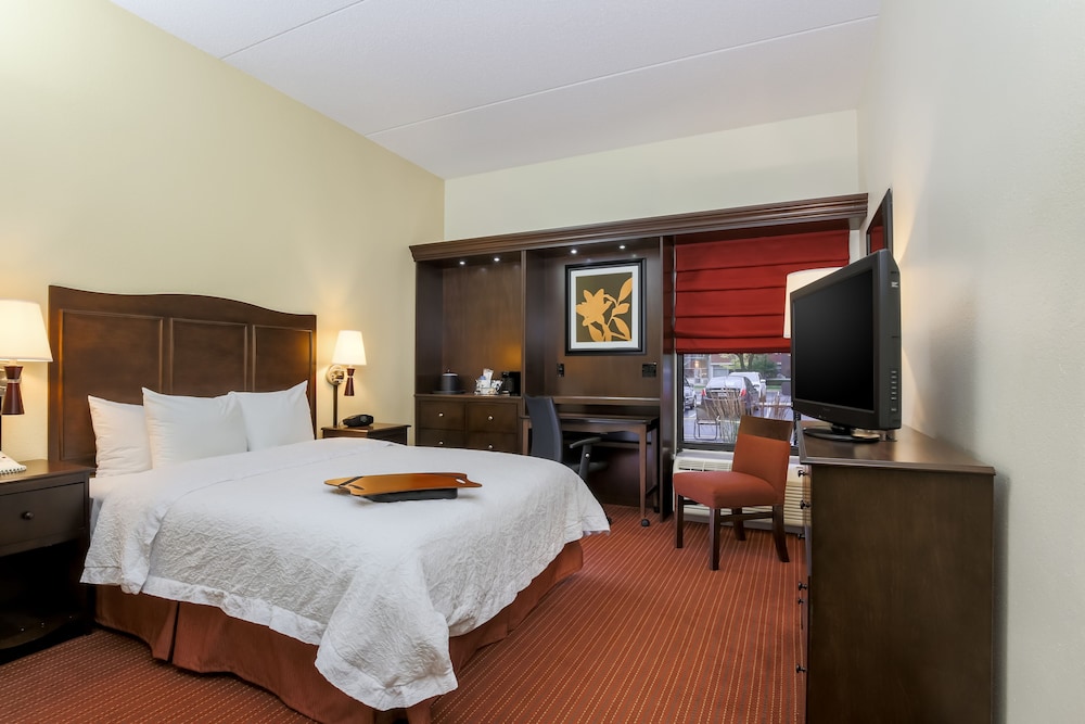 Room, 1 Queen Bed, Accessible, Bathtub (Mobility & Hearing) - Photo 3