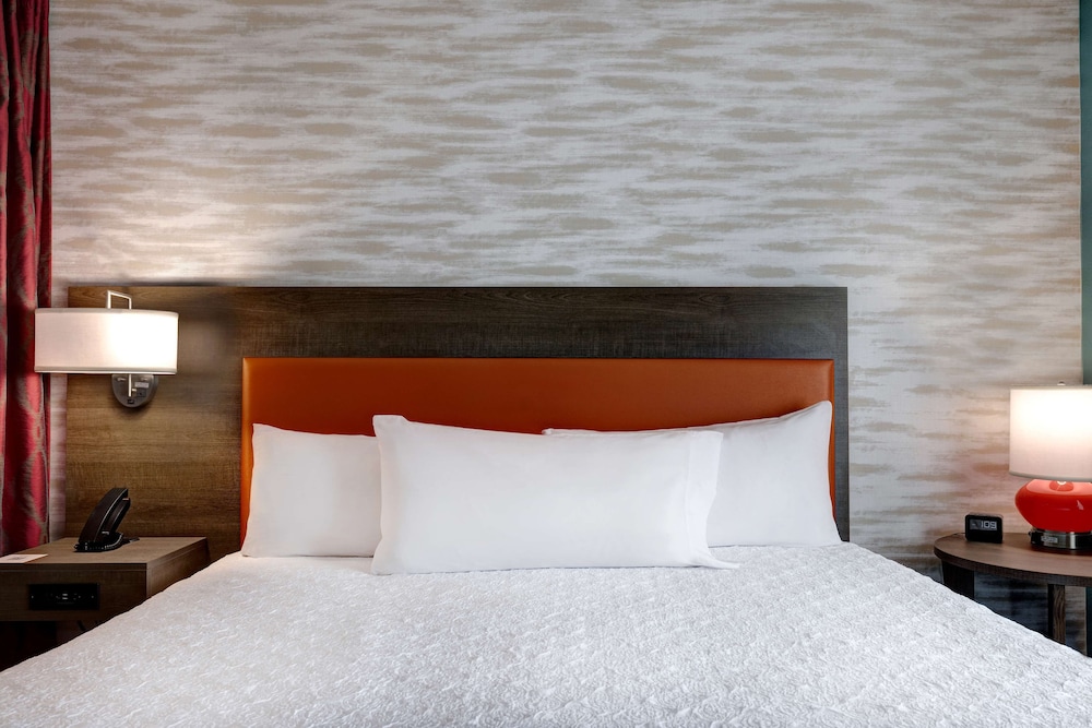 Suite, 1 King Bed, Accessible, Bathtub (Mobility & Hearing) - Photo 6