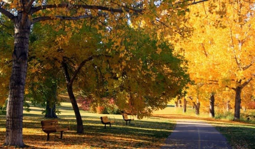 TOP 5 DT Riverside Walking Trails Free Parking, Photo 19