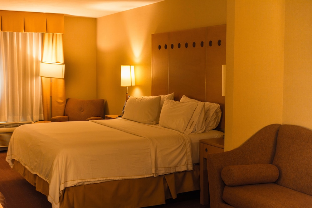 Suite, 1 King Bed - Photo 3
