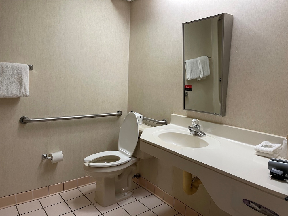 Deluxe Room, 1 Queen Bed, Accessible, Non Smoking - Photo 5