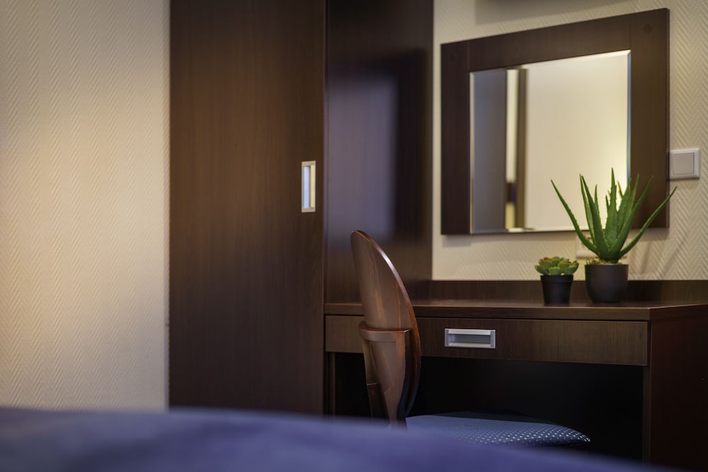 Standard Double Room Single Use