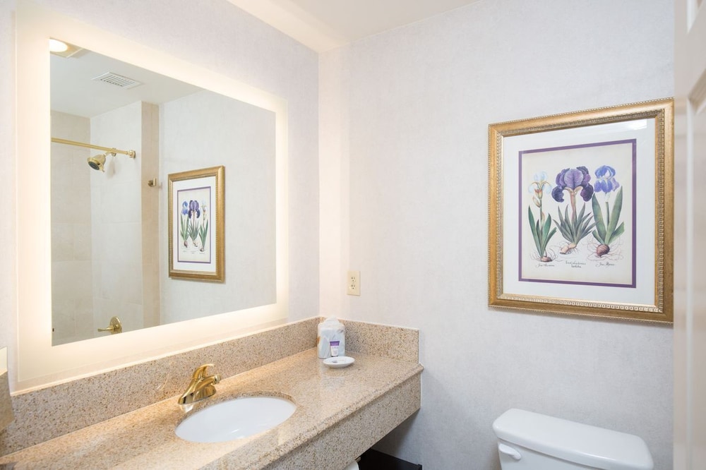 Deluxe Room, 1 King Bed