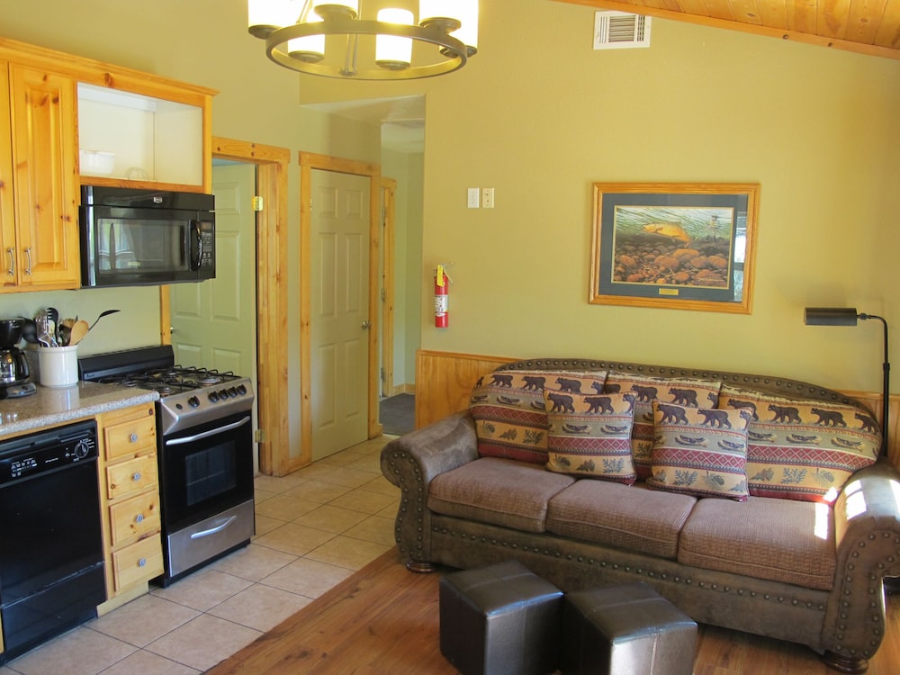 Cabin, 1 Bedroom, Hot Tub (Bristlecone) photo 1
