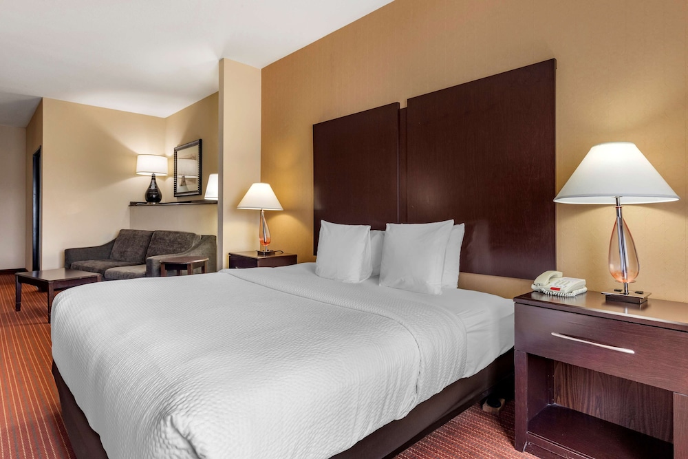 Suite, 1 King Bed, Accessible, Non Smoking (with Sofabed) - Photo 1