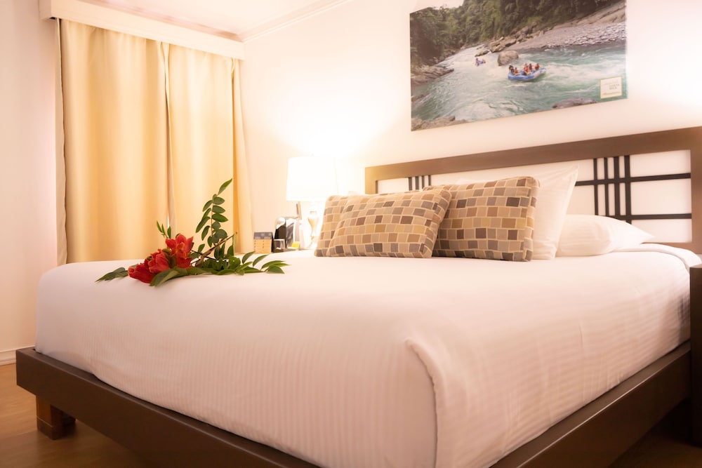 Junior Room, 1 King Bed photo 3