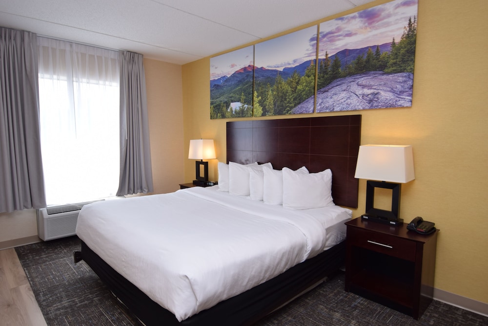 Executive Suite, Refrigerator & Microwave photo 2