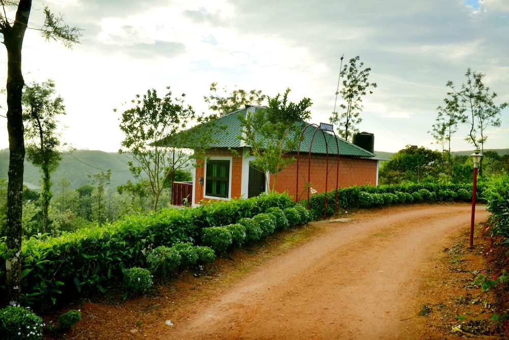 Daffodil Cottage photo 1