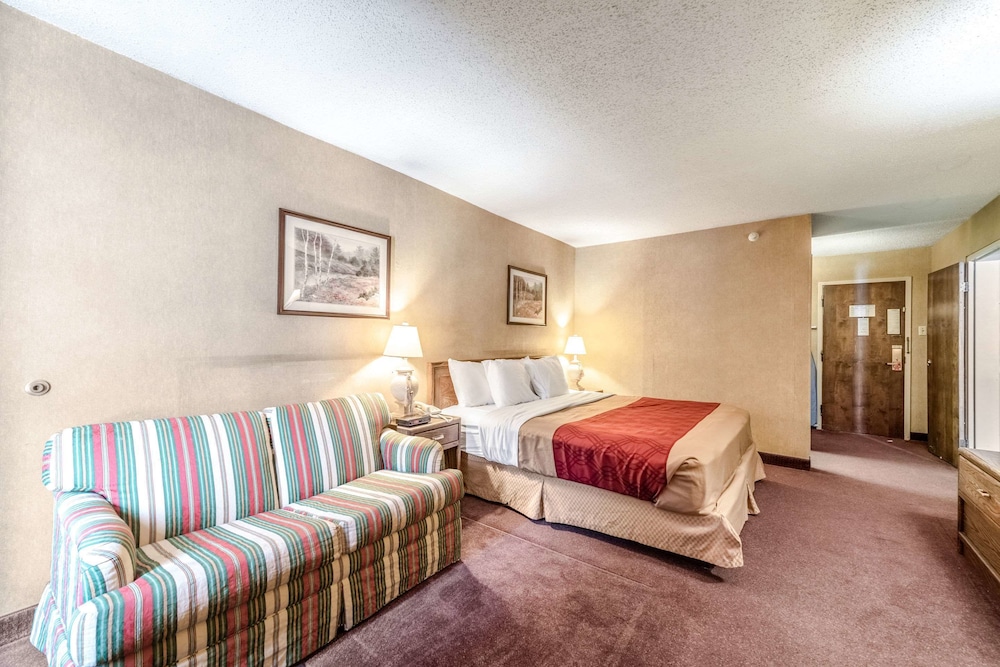 Standard Room, 1 King Bed, Non Smoking photo 1