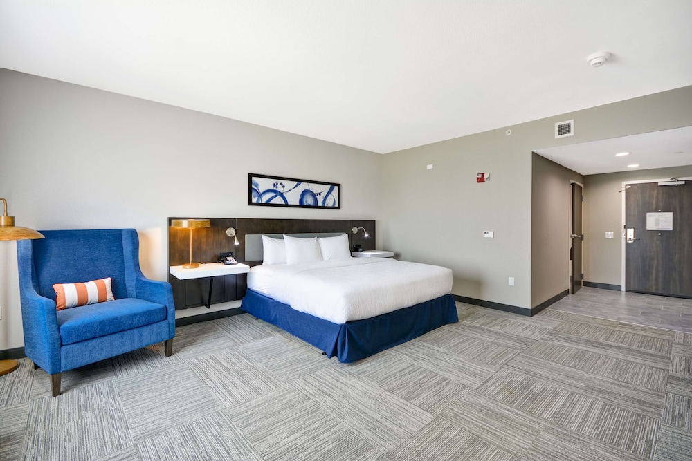 Room, 1 King Bed, Accessible, Non Smoking photo 3