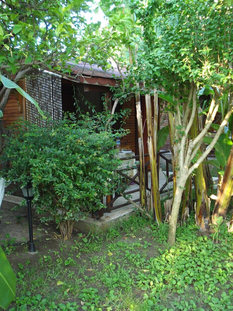 Triple Bungalow photo 2