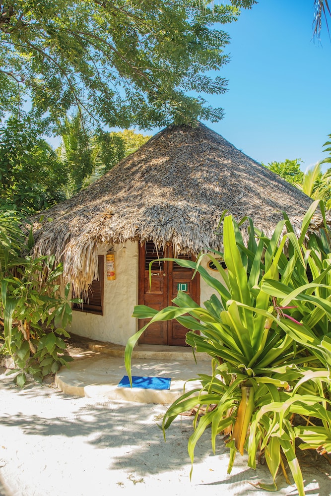 Basic Bungalow photo 3
