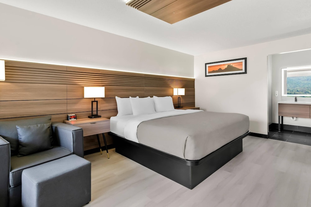 Room, 1 King Bed, Accessible, Non Smoking - Photo 1