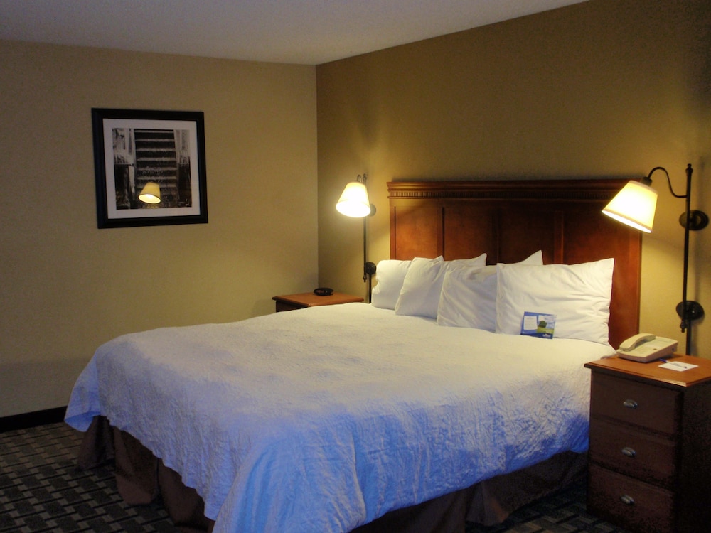 Room, 1 King Bed, Accessible, Non Smoking (Mobility,Hearing,Tub w/Grab Bars) - Photo 2