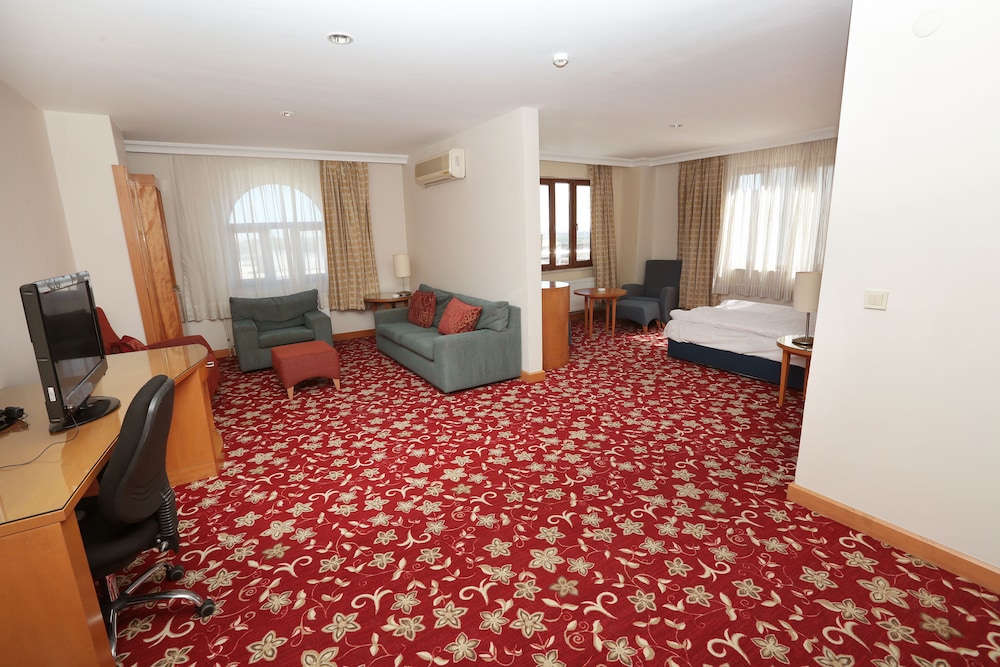 Suite, 1 Queen Bed photo 3