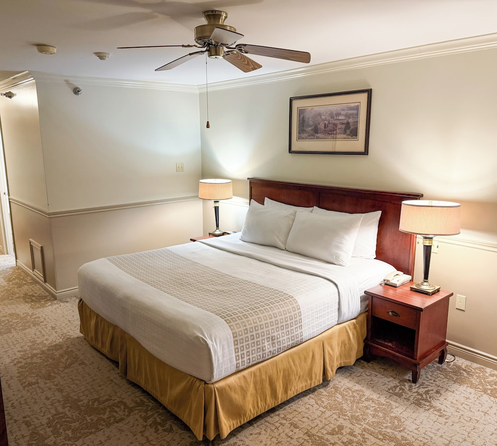 Standard Room, 1 King Bed, Pets Not Allowed photo 2