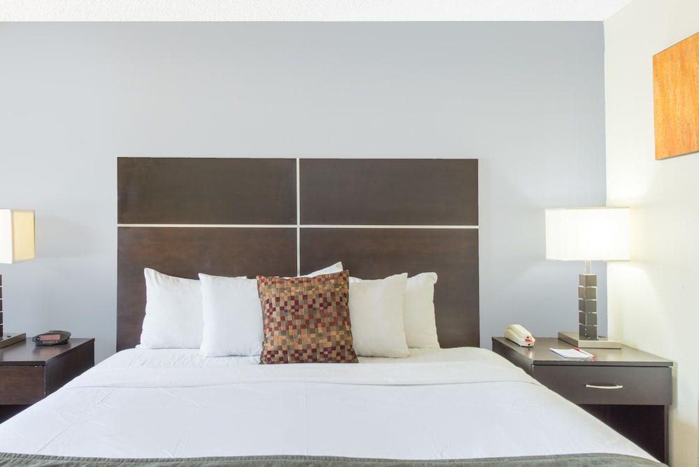 Standard Double Room, 1 King Bed, Non Smoking photo 1