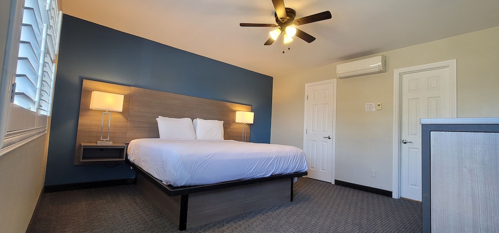 Deluxe Single Room, 1 King Bed photo 2