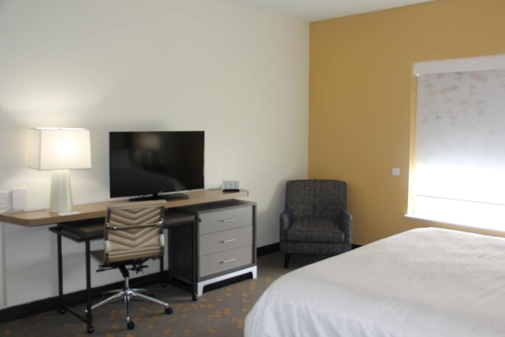 Standard Room, 1 King Bed, Roll-in Shower (Roll-In Shower) - Photo 5