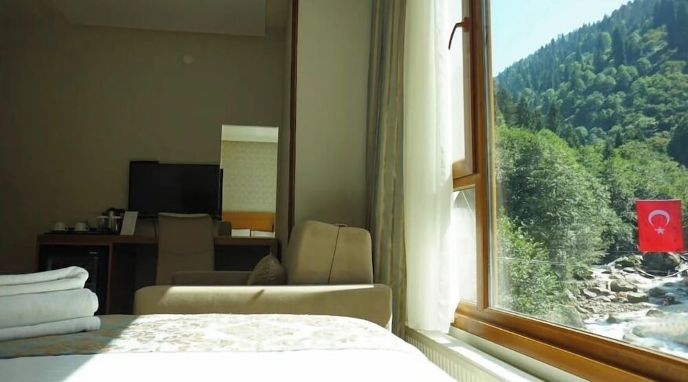 Deluxe Room photo 3
