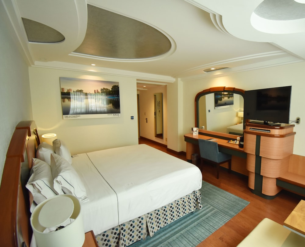Premier Room, 1 King Bed photo 2