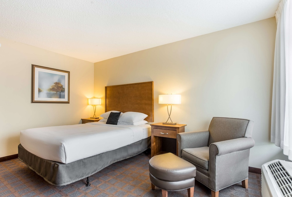 Room, 1 Queen Bed, Accessible, Non Smoking (Roll-in Shower) photo 1