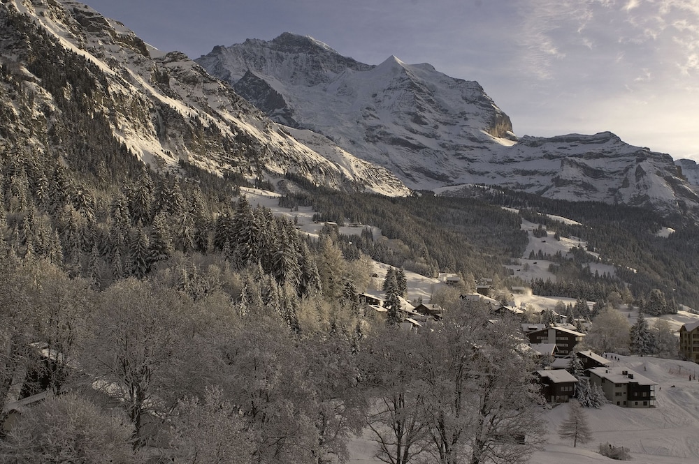 Suite, Balcony, Mountain View (Jungfrau) - Photo 1