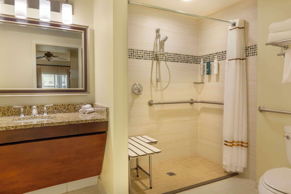 Room, 1 King Bed, Accessible (Mobility, Roll-In Shower) thumbnail 6