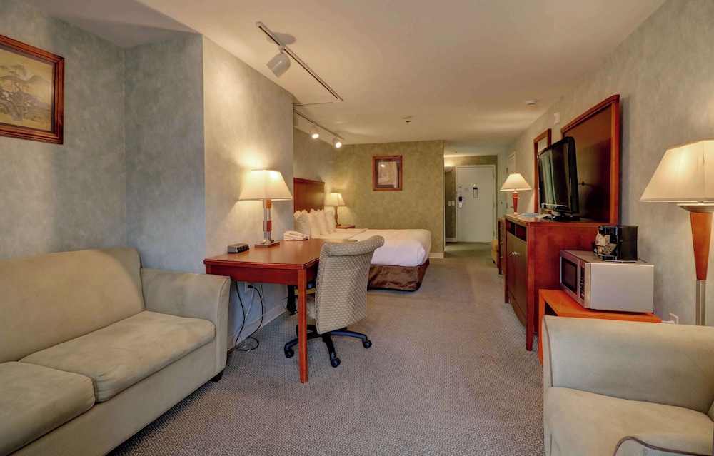 Presidential Room with 1 King Bed photo 2