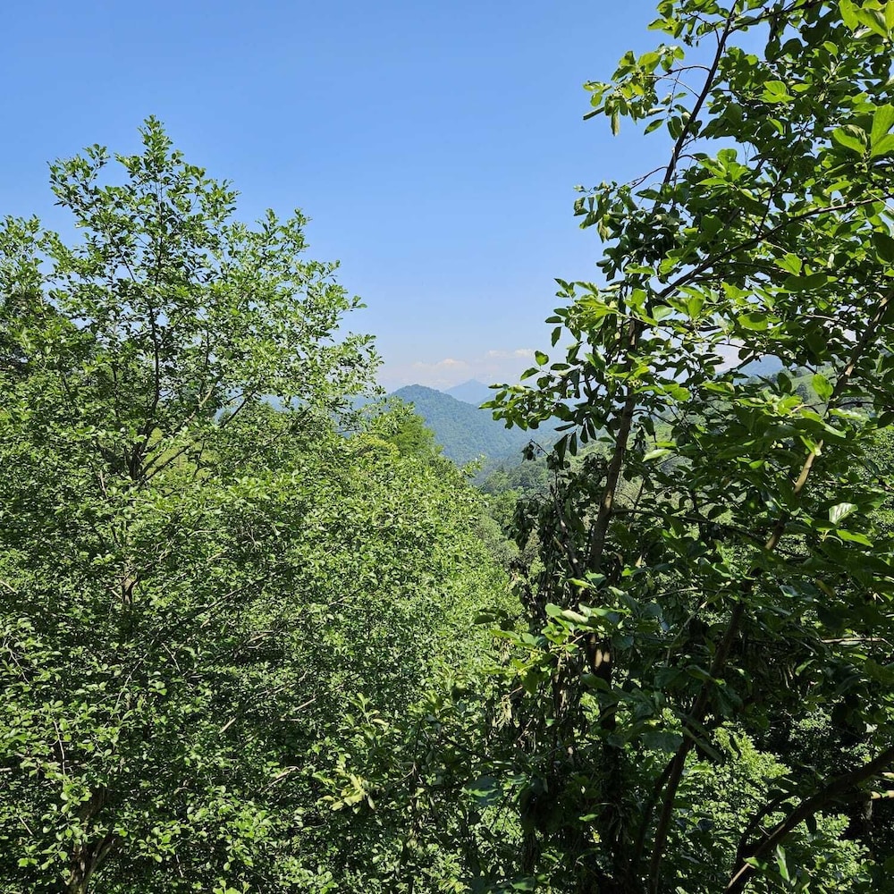 Double Room, Balcony, Mountain View photo 3