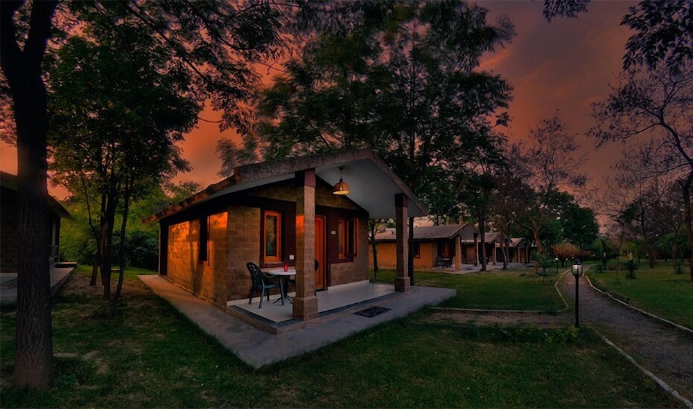 Forest View Cottage photo 1