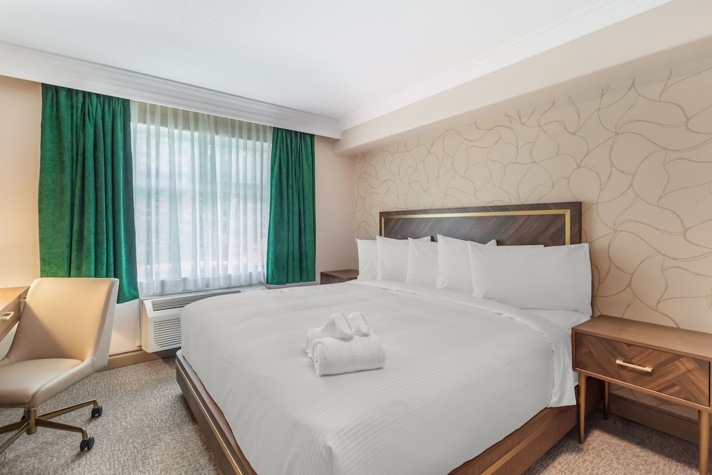 Room, 1 King Bed, Accessible, Non Smoking photo 1