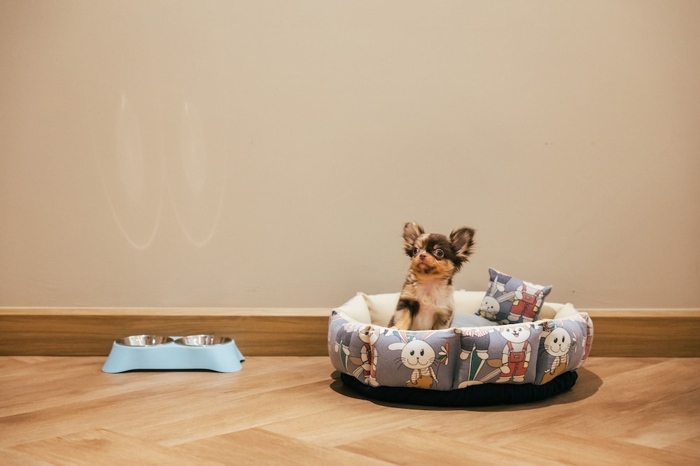 Pet Friendly photo 2