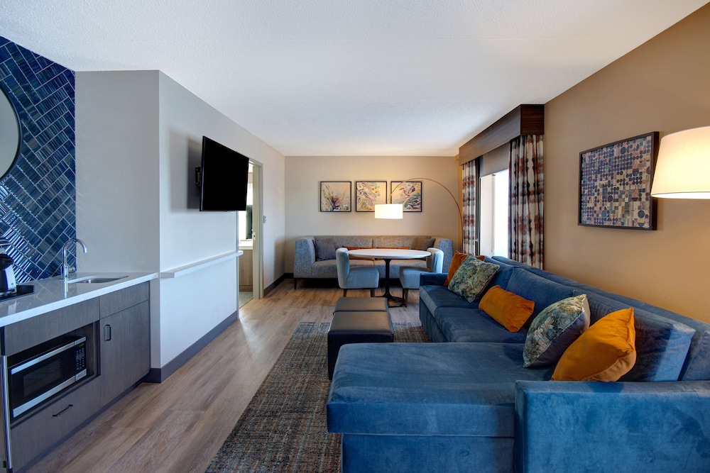 Suite, 1 King Bed, Accessible - Photo 9