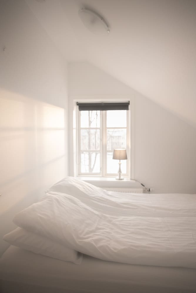 Deluxe Loft photo 2