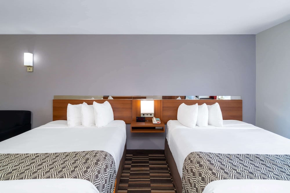 Studio Suite, 2 Queen Beds, Non Smoking - Photo 2