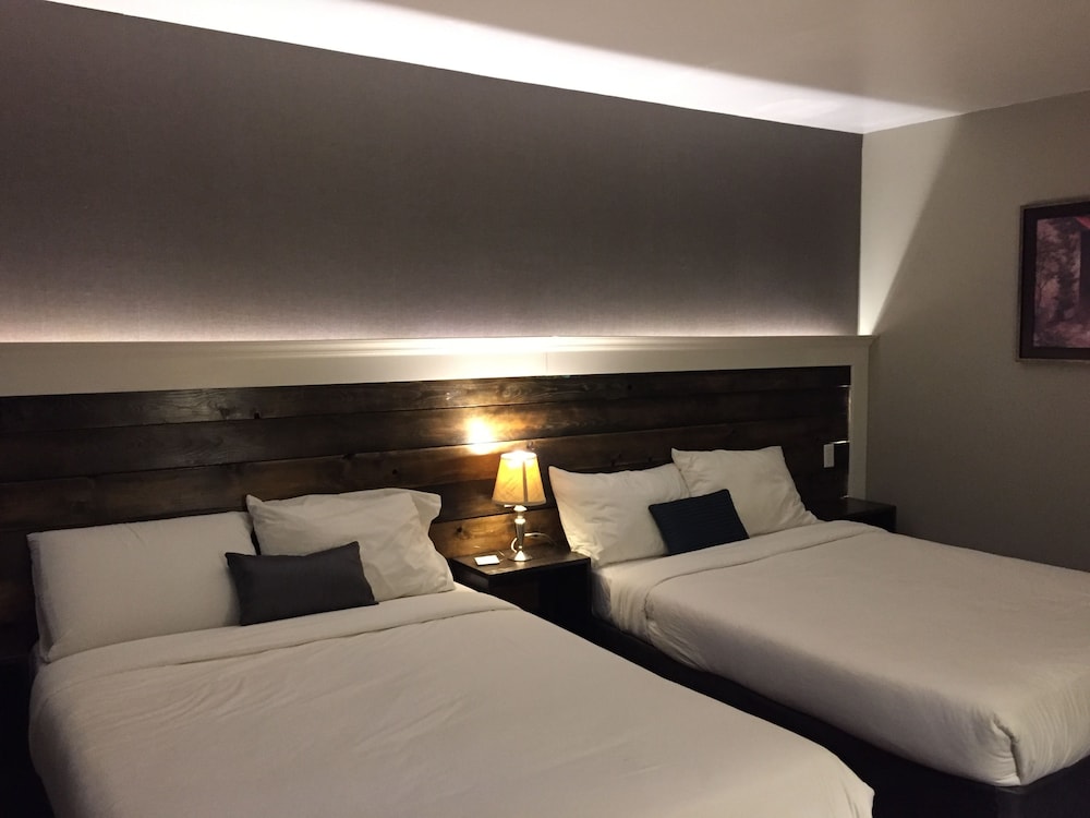 Basic Room, 2 Double Beds photo 3